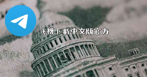 飞機下載中文版官方