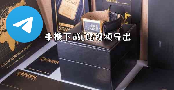 手機下載b站视频导出