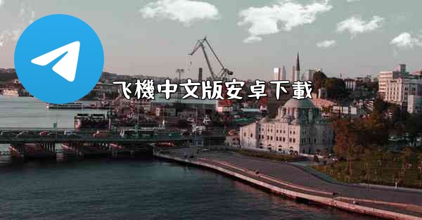 飞機中文版安卓下載