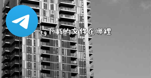 tg下載的文件在哪裡