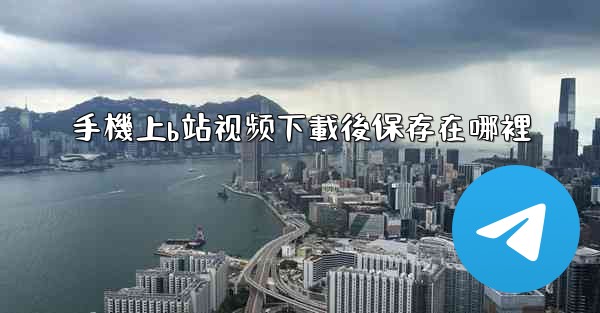 手機上b站视频下載後保存在哪裡