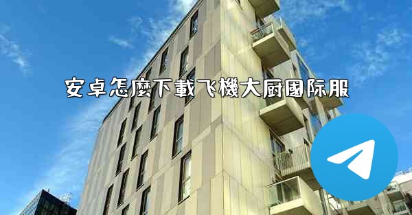 安卓怎麼下載飞機大厨國际服