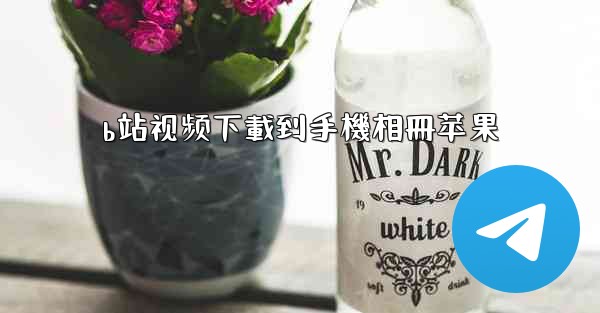 b站视频下載到手機相冊苹果