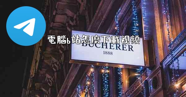 電腦b站怎麼下載视频