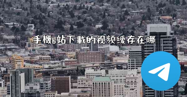 手機b站下載的视频缓存在哪