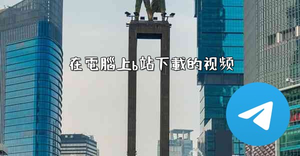 在電腦上b站下載的视频