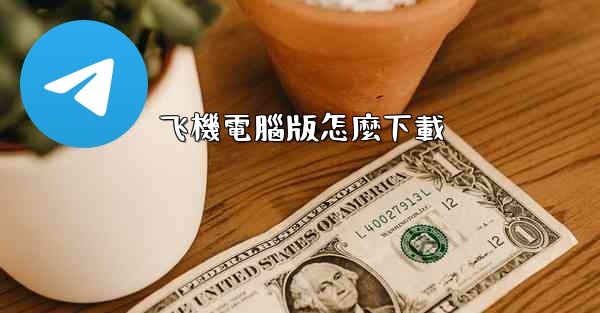 飞機電腦版怎麼下載