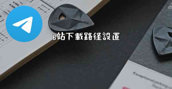 b站下載路径設置