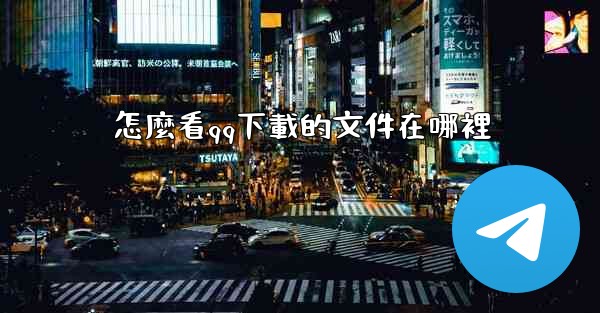 怎麼看qq下載的文件在哪裡