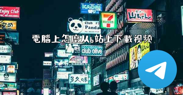 電腦上怎麼从b站上下載视频