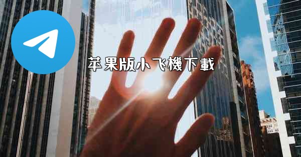 苹果版小飞機下載