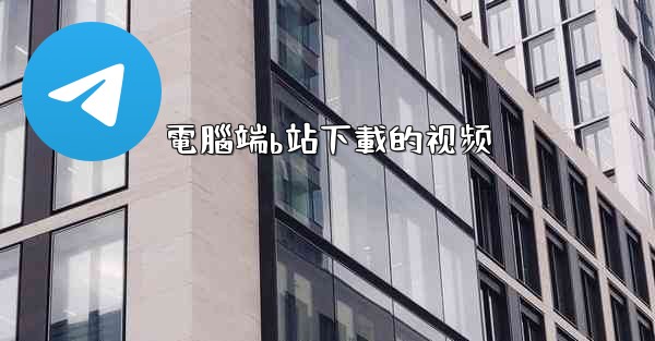 電腦端b站下載的视频