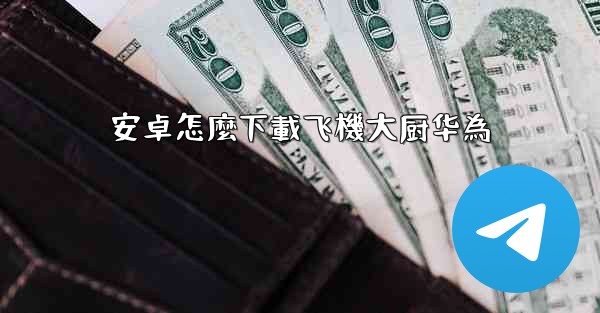 安卓怎麼下載飞機大厨华為