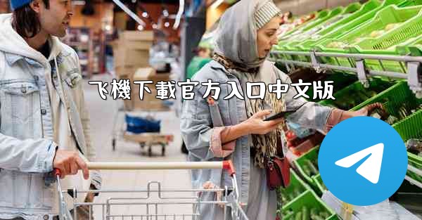 飞機下載官方入口中文版