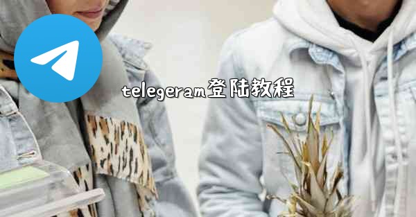 telegeram登陆教程