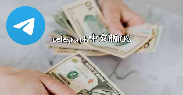 telegraph中文版iOS