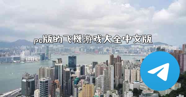 pc版的飞機游戏大全中文版
