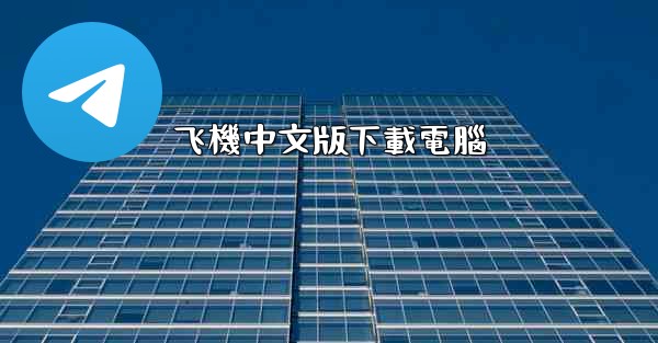 飞機中文版下載電腦