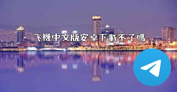 飞機中文版安卓下載不了嗎