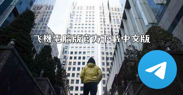 飞機電腦版官方下載中文版