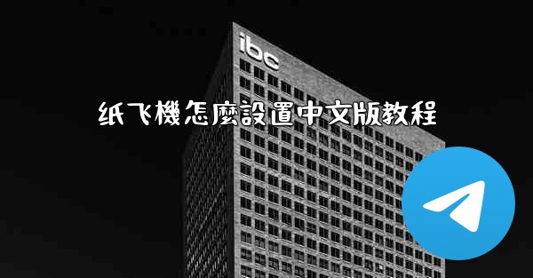 纸飞機怎麼設置中文版教程