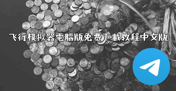 飞行模拟器電腦版免费下載教程中文版