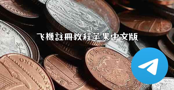 飞機註冊教程苹果中文版