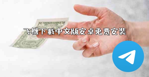 飞機下載中文版安卓免费安裝