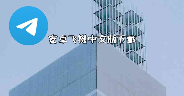 安卓飞機中文版下載