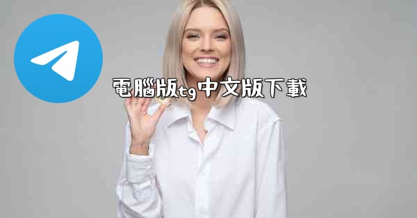 電腦版tg中文版下載