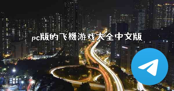pc版的飞機游戏大全中文版