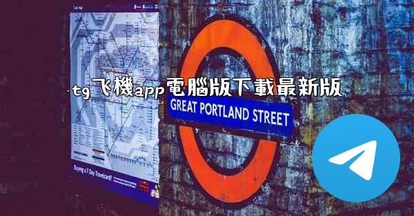 tg飞機app電腦版下載最新版