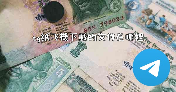 tg纸飞機下載的文件在哪裡