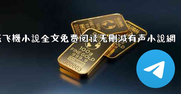 纸飞機小說全文免费阅读无刪減有声小說網