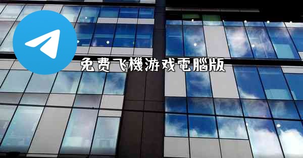 免费飞機游戏電腦版