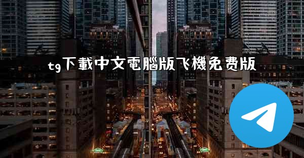tg下載中文電腦版飞機免费版