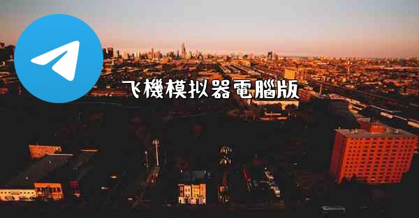 飞機模拟器電腦版