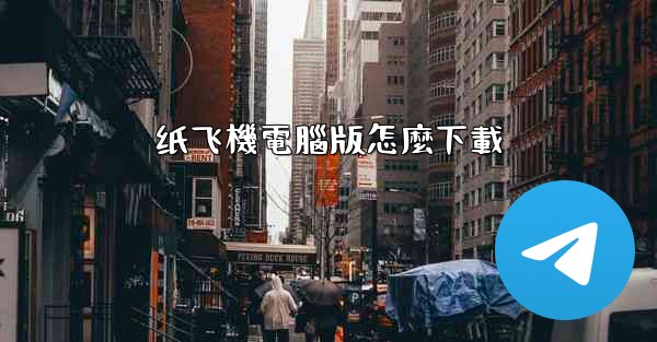 纸飞機電腦版怎麼下載