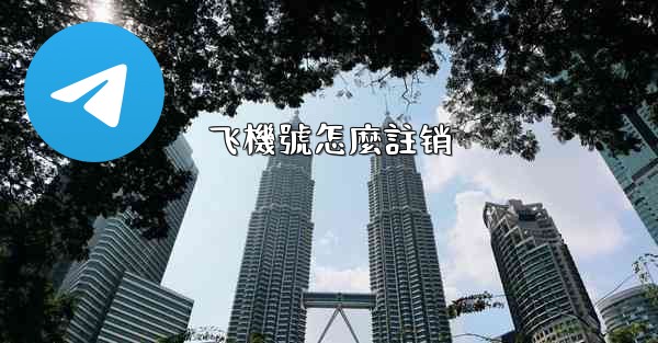 飞機號怎麼註销