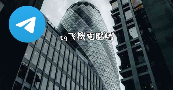 tg飞機電腦端