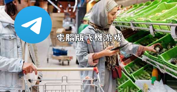 電腦版飞機游戏