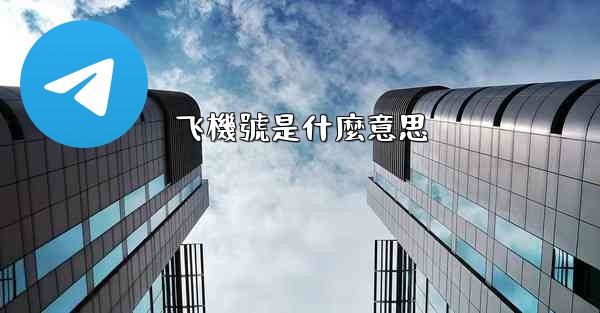 飞機號是什麼意思