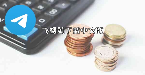 飞機號下載中文版