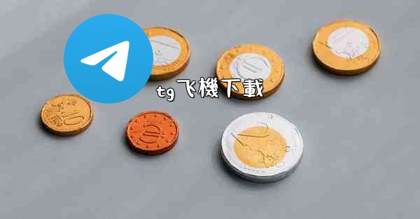 tg飞機下載