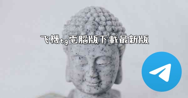 飞機tg電腦版下載最新版