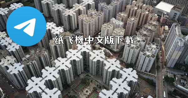 纸飞機中文版下載