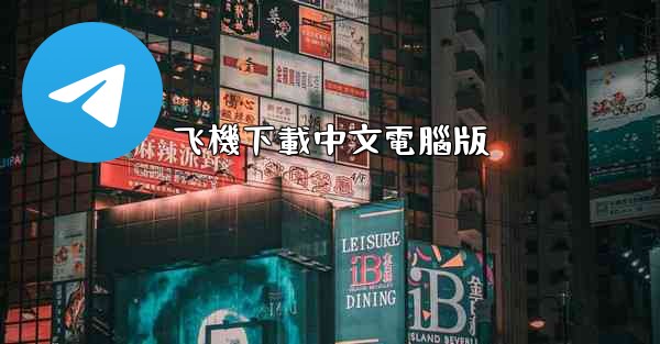 飞機下載中文電腦版