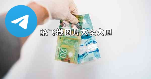 纸飞機图片大全大图