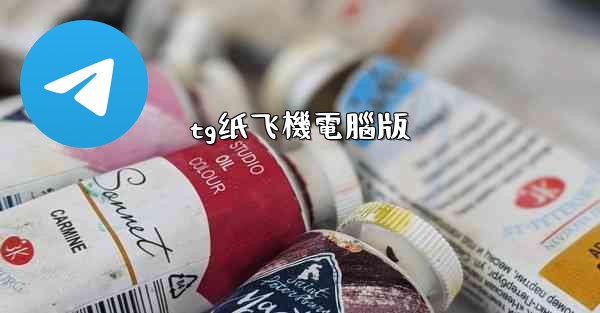 tg纸飞機電腦版