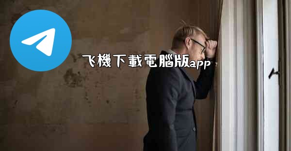 飞機下載電腦版app